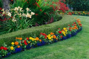 Types of Landscaping And Gardening