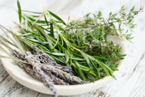 What is an Herb?