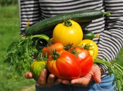 The Top 10 Tips for Starting a Vegetable Garden