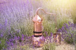 How to Make Essential Oils from Your Garden