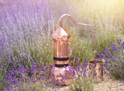 How to Make Essential Oils from Your Garden￼