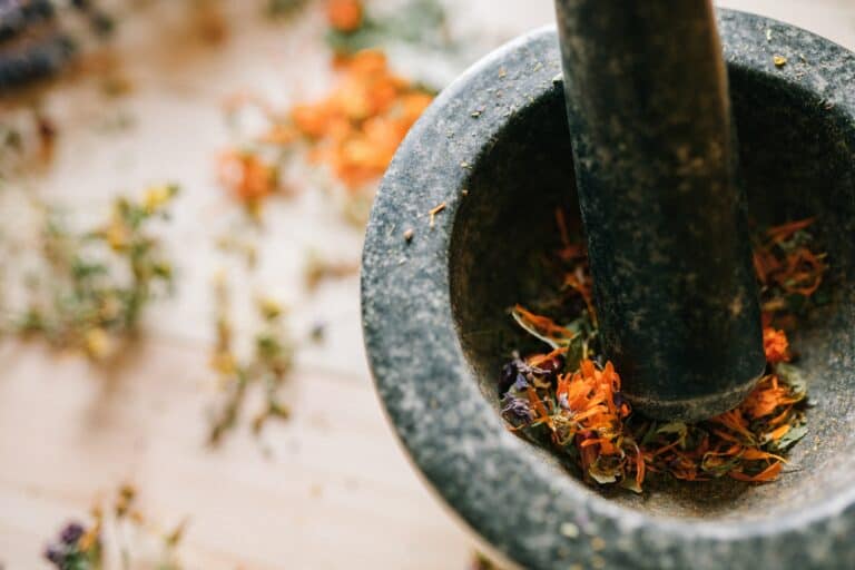 The Early History of Herbal Medicine in the Modern World