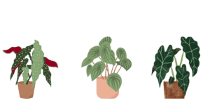 The proficient Garden