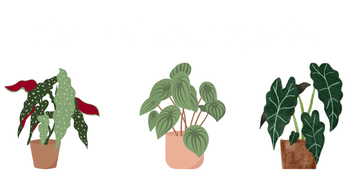 The proficient Garden