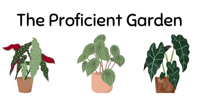 The Proficient Garden Logo